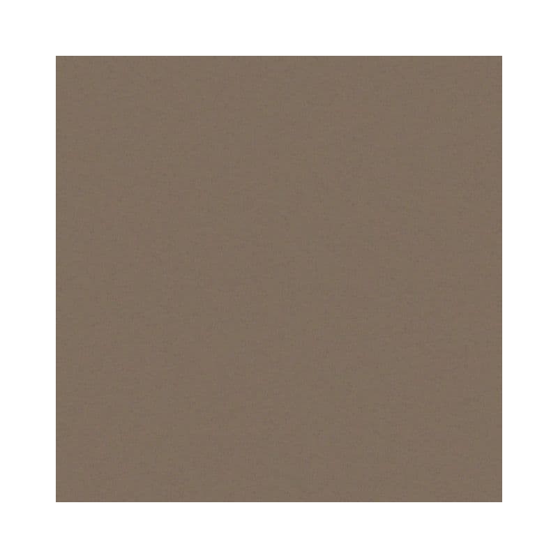 Cette image montre la couleur de la coque